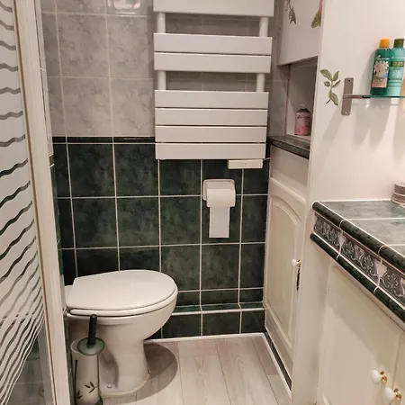 شقة Studio Climatise A Avec Piscine, Acces Direct Plage, Et Garage - 3 Pers. - Fr-1-677-49