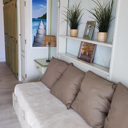 شقة Studio Climatise A Avec Piscine, Acces Direct Plage, Et Garage - 3 Pers. - Fr-1-677-49 *