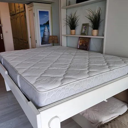 Studio Climatise A Avec Piscine, Acces Direct Plage, Et Garage - 3 Pers. - Fr-1-677-49 شقة بورم لي ميموزا